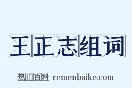 王正志组词是什么意思的图片